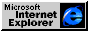 IE 3.0